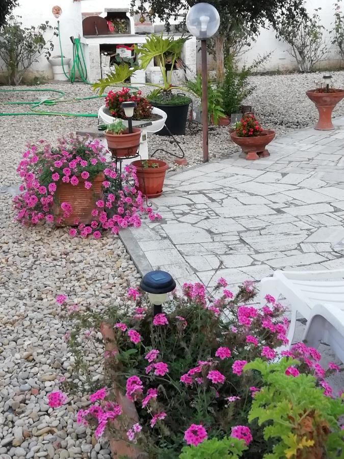 B&B Villa Claudia Anzio Dış mekan fotoğraf